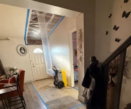 Mold Remediation Tampa Guys