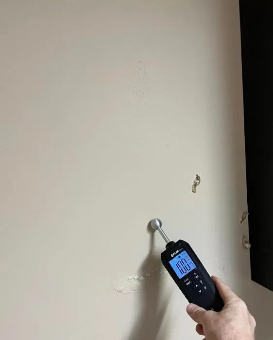 Mold Remediation Tampa Guys Picture 4