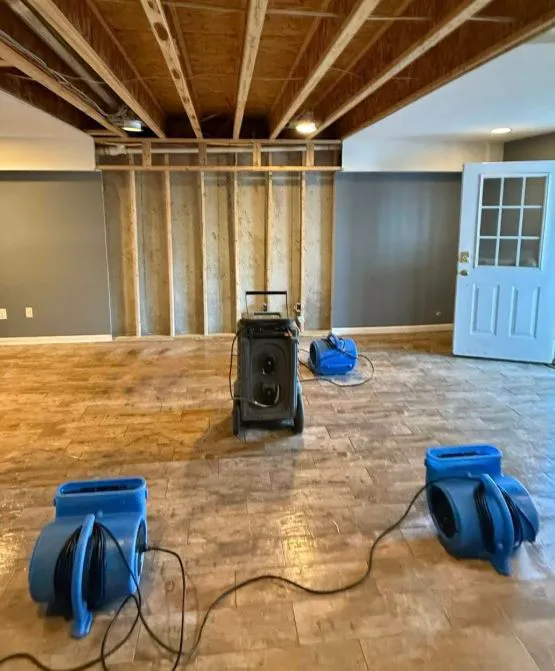 Mold Remediation Tampa Guys Picture 3