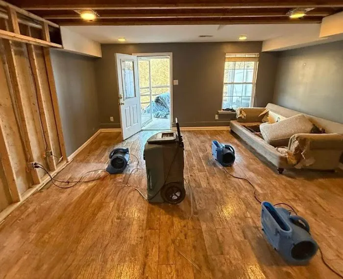 Mold Remediation Tampa Guys Picture 7