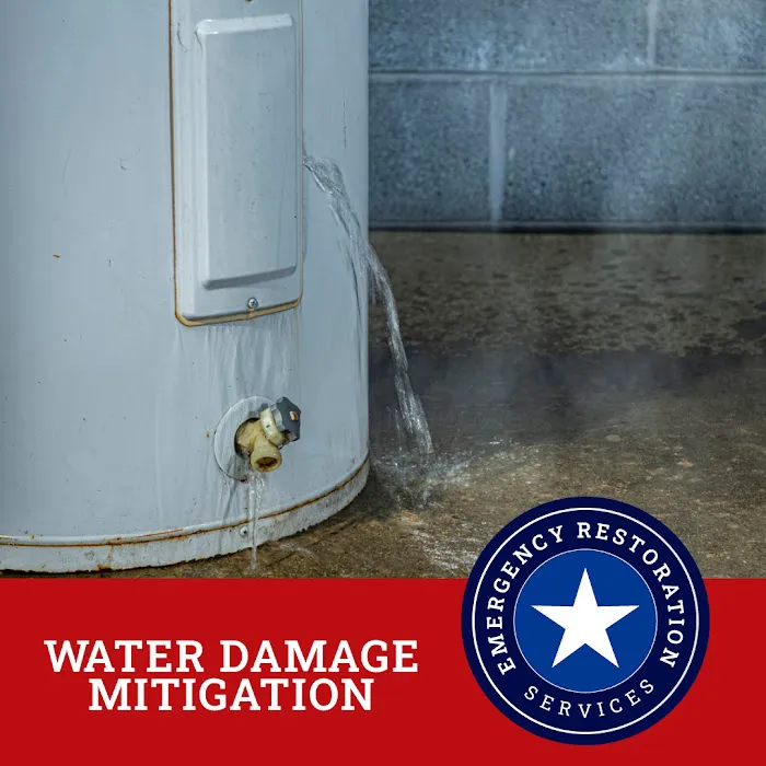 VetCor of Tampa Picture 8