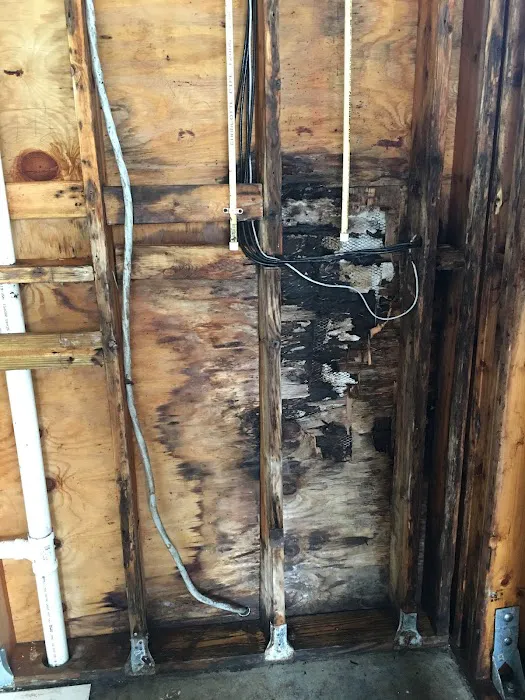 Flood Pro of Florida Picture 8