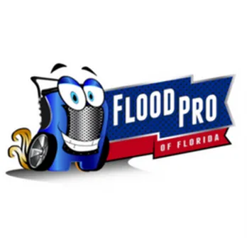 Flood Pro of Florida Picture 7