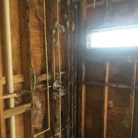 Flood Pro of Florida ico