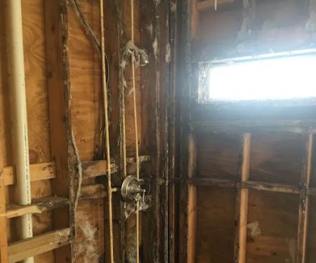 Flood Pro of Florida