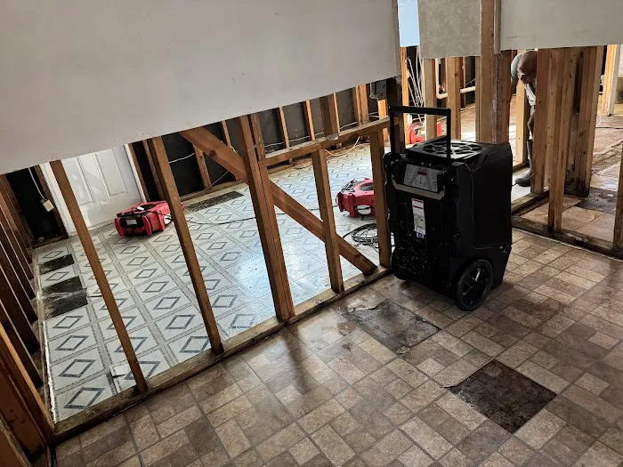 True North Restoration of Tampa Bay Picture 6