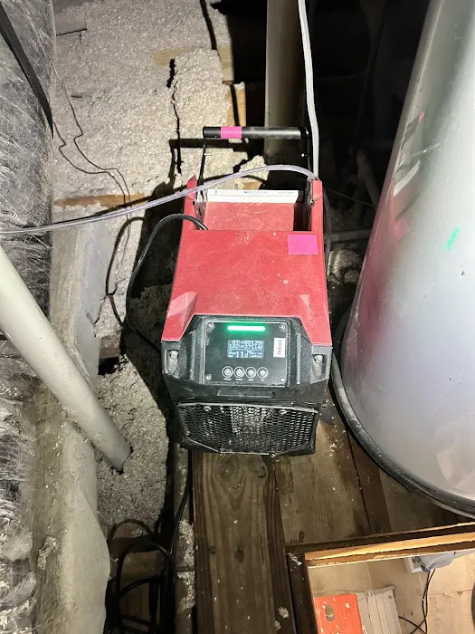 True North Restoration of Tampa Bay Picture 2