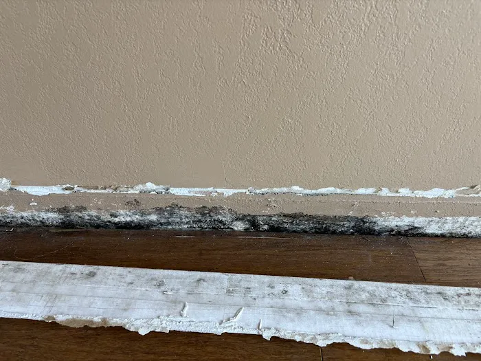 True North Restoration of Tampa Bay Picture 5