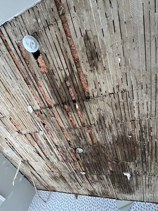 True North Restoration of Tampa Bay Picture 9