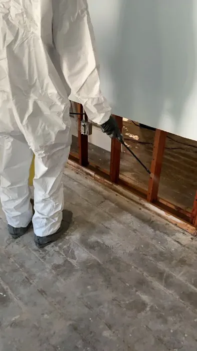 DRYmedic Restoration Services of Tampa Bay Picture 7