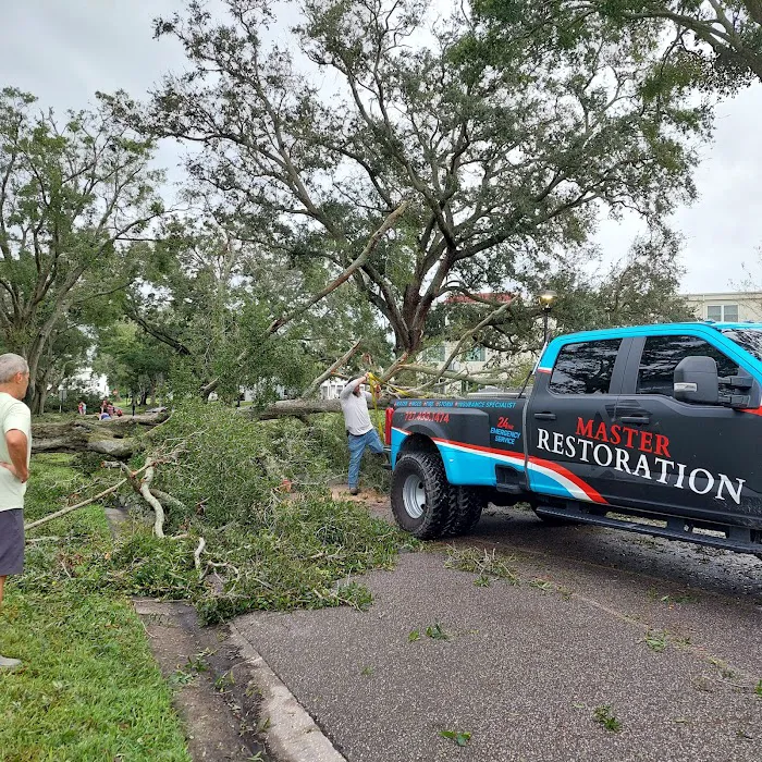 Master Restoration Picture 10