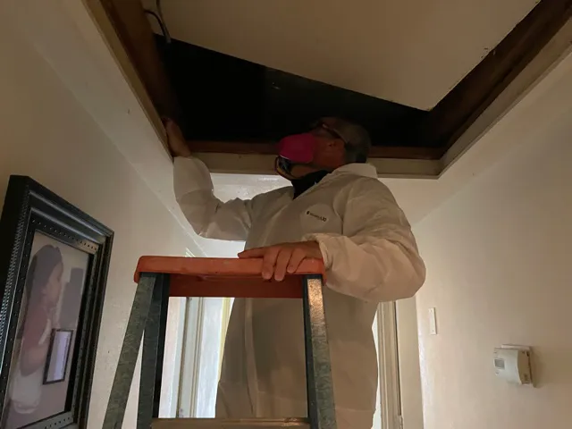 Mold Doctor Pro Picture 1