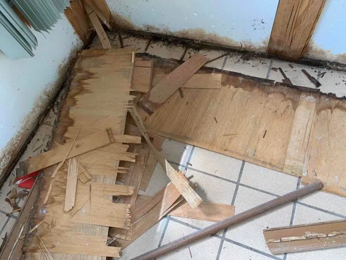 Mold Doctor Pro Picture 6