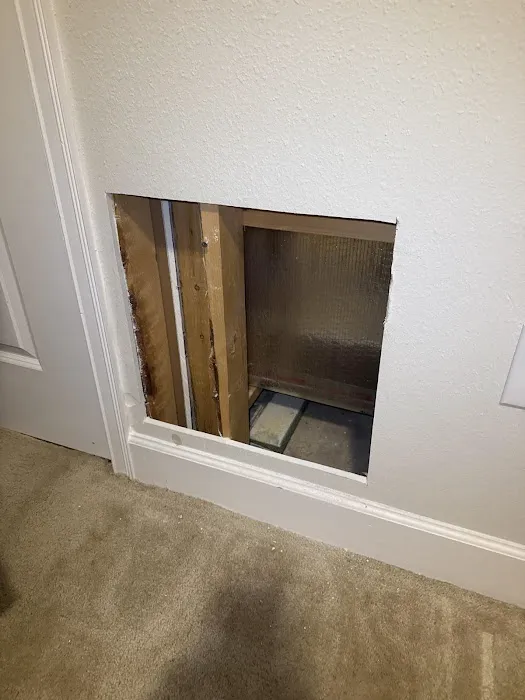 Mold Doctor Pro Picture 5