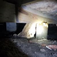 Environmental Protective Solutions, Inc. ico