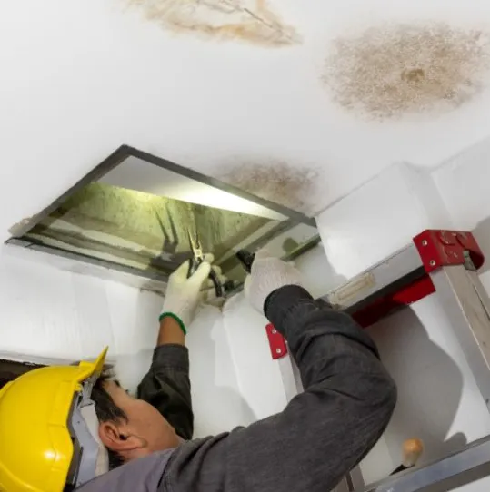 Monokuro Water Damage Picture 2