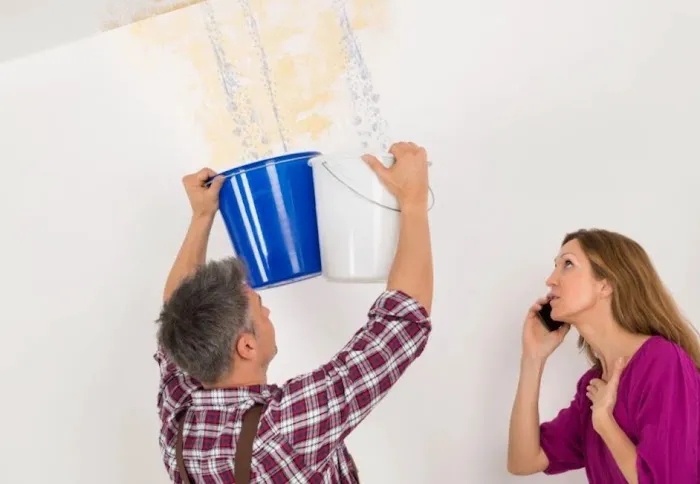 Monokuro Water Damage Picture 6