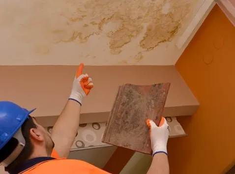 Monokuro Water Damage Picture 3