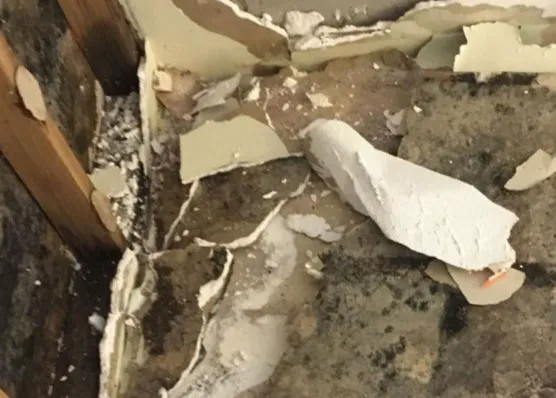 Monokuro Water Damage Picture 1