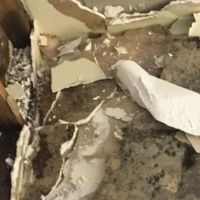 Monokuro Water Damage ico