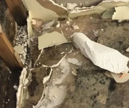 Monokuro Water Damage