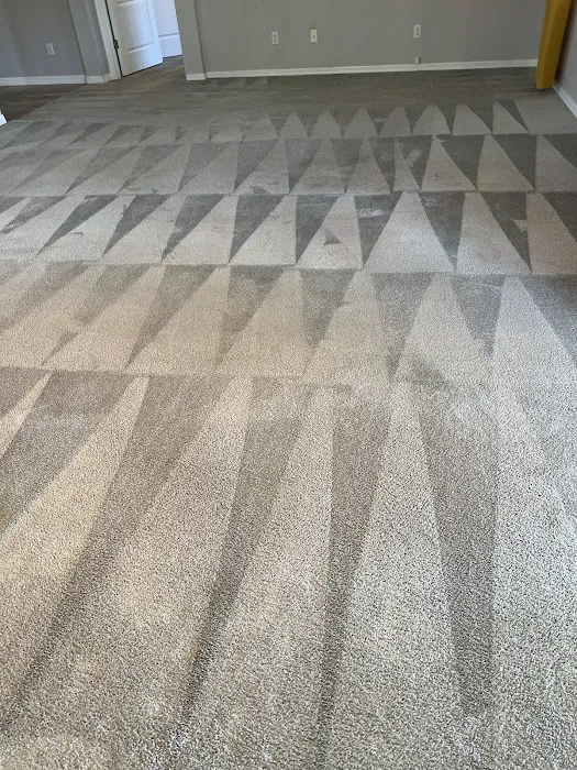 Stanley Steemer Picture 7