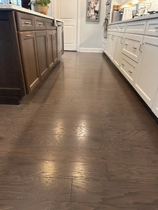 Stanley Steemer Picture 1