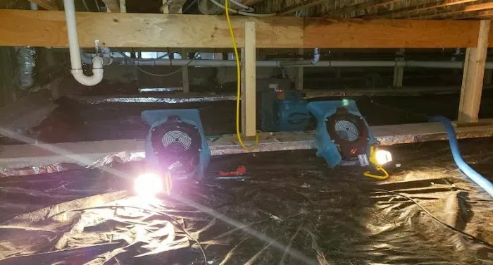 Revive Water of Tampa Picture 4