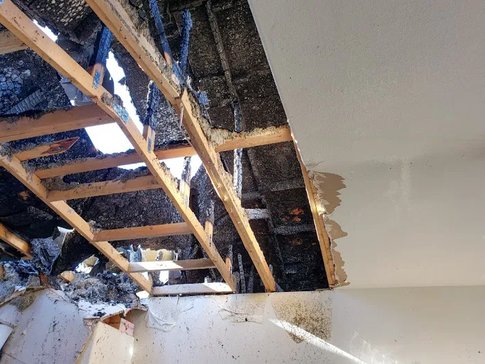 Revive Water of Tampa Picture 10