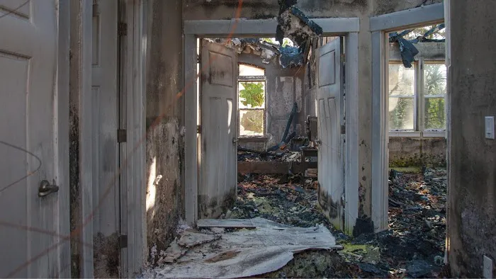 Revive Water of Tampa Picture 7