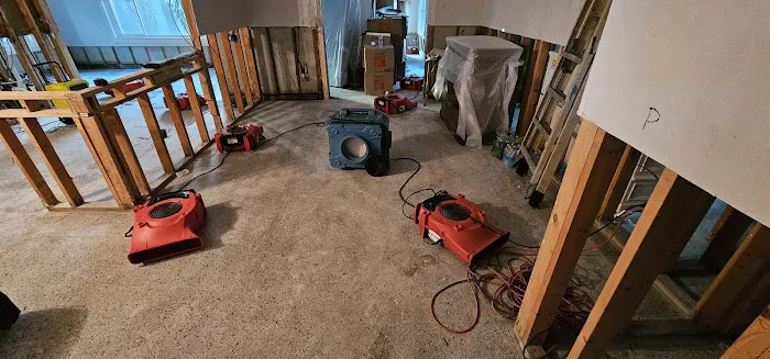 Disaster cleanup system of Florida,LLC Picture 1