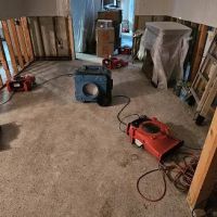 Disaster cleanup system of Florida,LLC ico