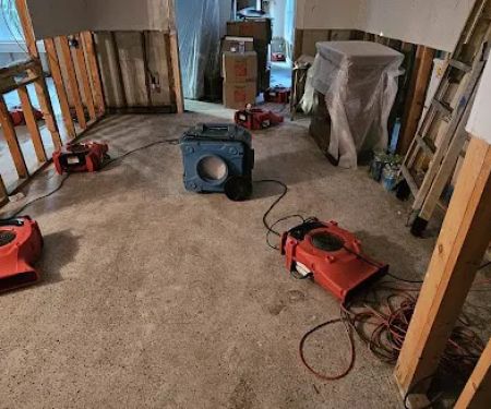 Disaster cleanup system of Florida,LLC