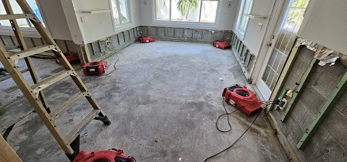 Disaster cleanup system of Florida,LLC Picture 2