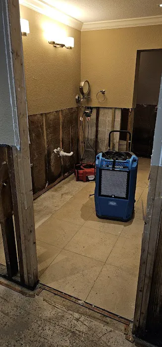 Disaster cleanup system of Florida,LLC Picture 5