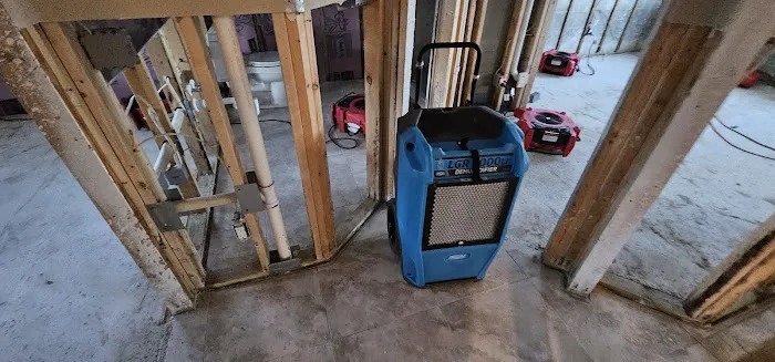 Disaster cleanup system of Florida,LLC Picture 4