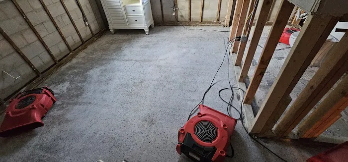 Disaster cleanup system of Florida,LLC Picture 3