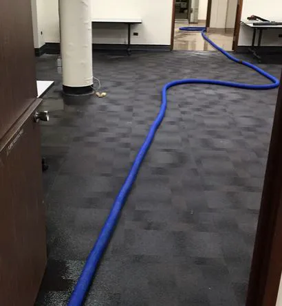 Nexus Water Damage Restoration Tampa Picture 4