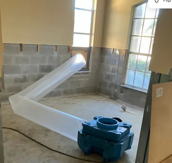 Nexus Water Damage Restoration Tampa Picture 6