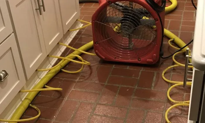 Nexus Water Damage Restoration Tampa Picture 1