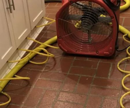 Nexus Water Damage Restoration Tampa