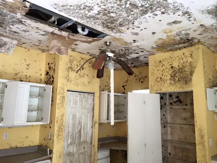 Big Easy Restoration Picture 7