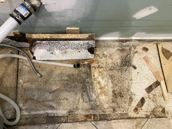 Big Easy Restoration Picture 5