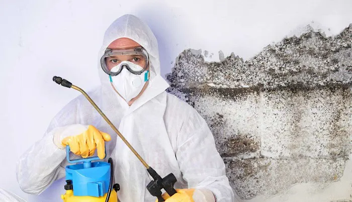 Flood Pros USA Picture 4