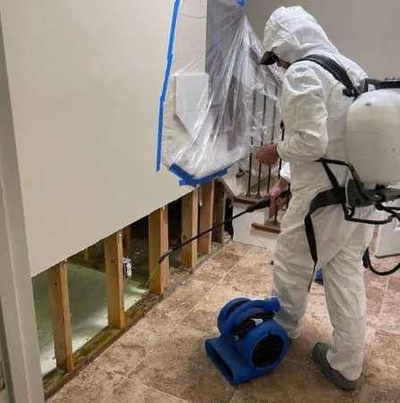 Splash Water Tampa Picture 1