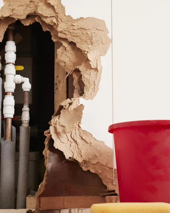 Splash Water Tampa Picture 10