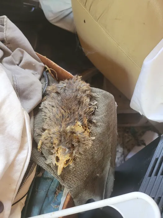 Without A Trace LLC Picture 9