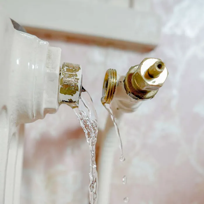 Disaster Recovery Pros, Fire & Water Damage Restoration, Mold Remediation Picture 6