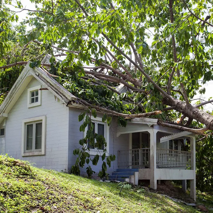 Disaster Recovery Pros, Fire & Water Damage Restoration, Mold Remediation Picture 5