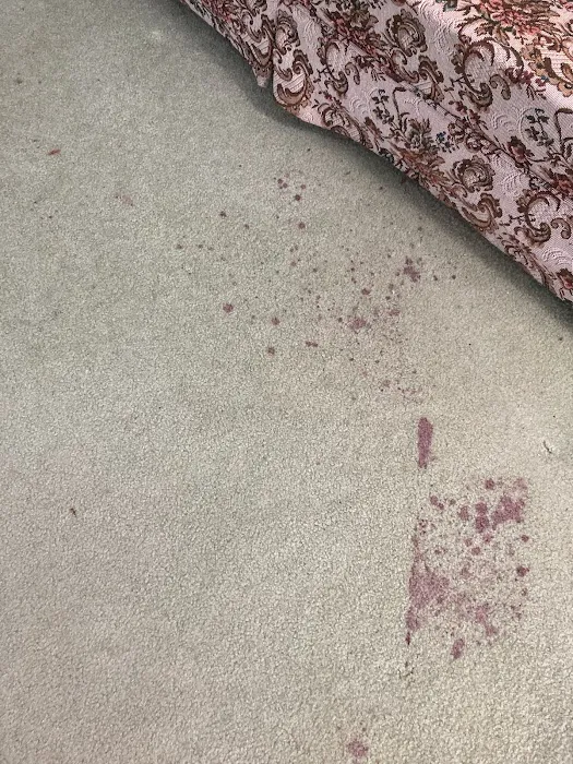 Castle Keepers Carpet Cleaning & Flood Restoration, Inc. Picture 6